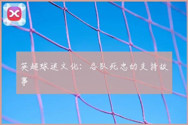 英超球迷文化：各队死忠的支持故事