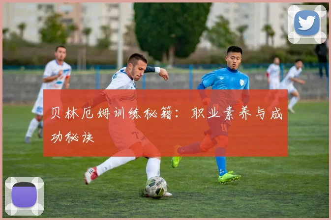 贝林厄姆训练秘籍：职业素养与成功秘诀