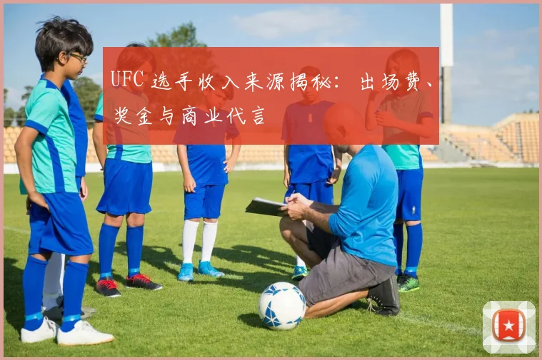 UFC 选手收入来源揭秘:出场费、奖金与商业代言