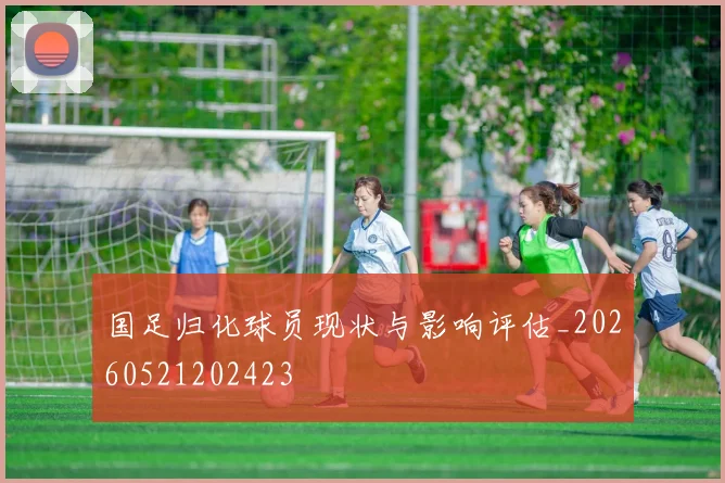 国足归化球员现状与影响评估_20260521202423