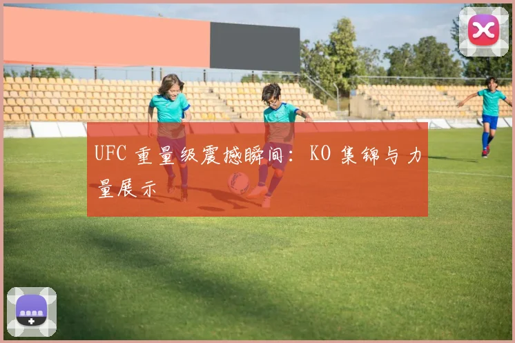 UFC 重量级震撼瞬间:KO 集锦与力量展示