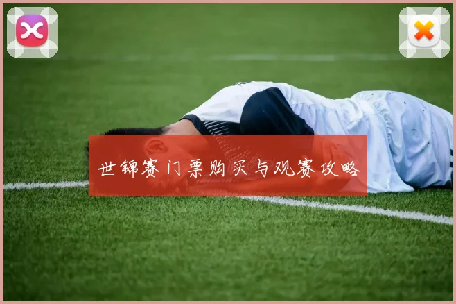 世锦赛门票购买与观赛攻略